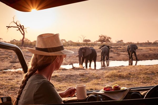 Belmond-Savute-Elephant-Lodge