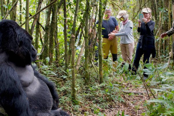 Gorilla-trekking-form-Americans